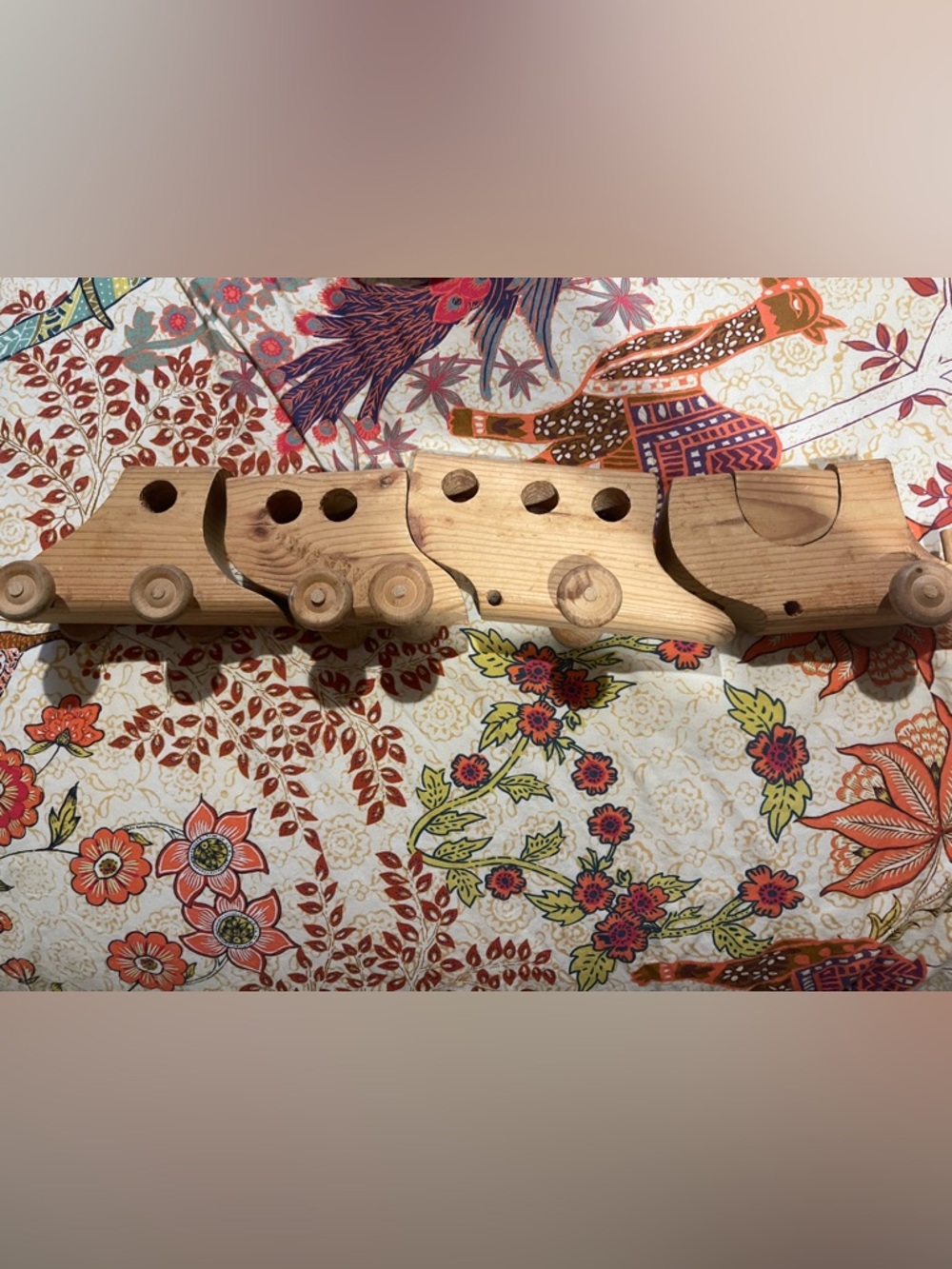 Montessori Train